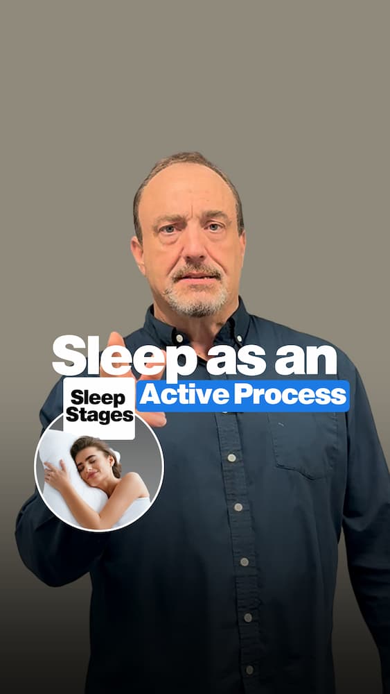 Sleep Cycles: How Your Brain Actively Works Through NREM and REM Sleep